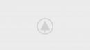 wood-gallery-placeholder-4 wood-gallery-placeholder-4